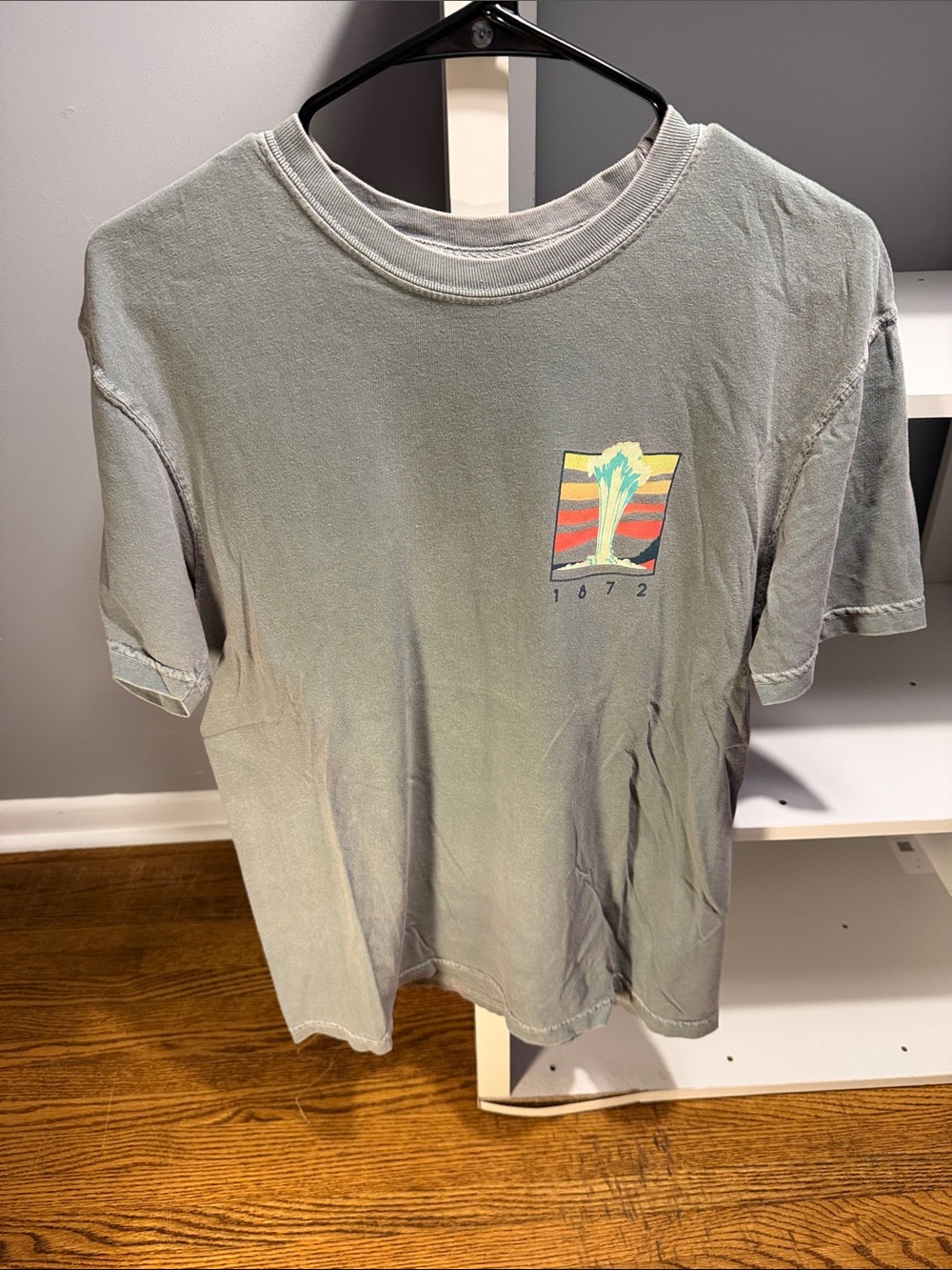 Short-Sleeve Graphic Tee in Faded Sage with Chest Print